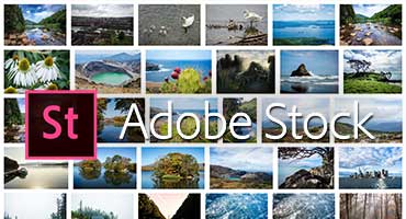 Adobe Stock Photo